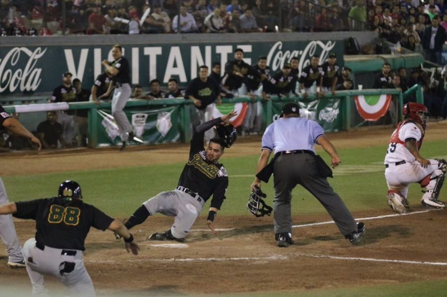 wp image 3055 - MLB prohibe a sus equipos negociar peloteros de Liga Mexicana de Verano